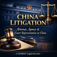 Professional Legal Advocacy for International Clients in China Litigation Attorney Court Representation