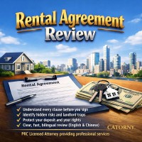 Rental Agreement Review Professional Contract Check Risk Assessment Deposit