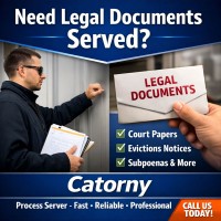 Process server services Alemanda court Oakland San francisico area