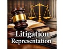 Litigation